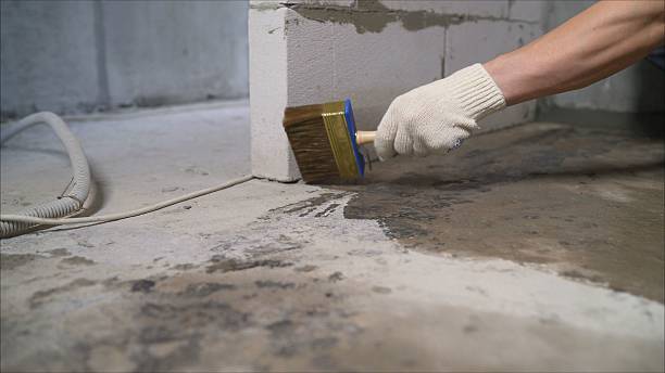 24/7 Emergency Crawl Space Encapsulation experts in Versailles, KY